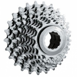 Pinion MICHE CA 10V - BikeCentral