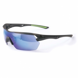 Ochelari de soare, cu husa rigida, cu lentile schimbabile - BikeCentral